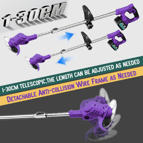 Cliff Purple